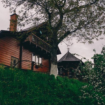 Будиночок в Карпатах Яремча Экстерьер фото